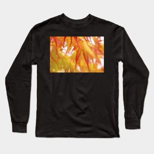 Autumn Acer Leaves Long Sleeve T-Shirt